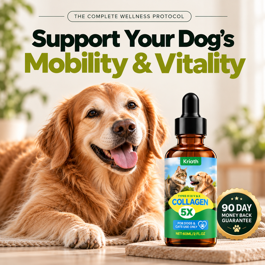 The Complete Daily Formula That Replaces 5+ Supplements Your Dog Won't Take